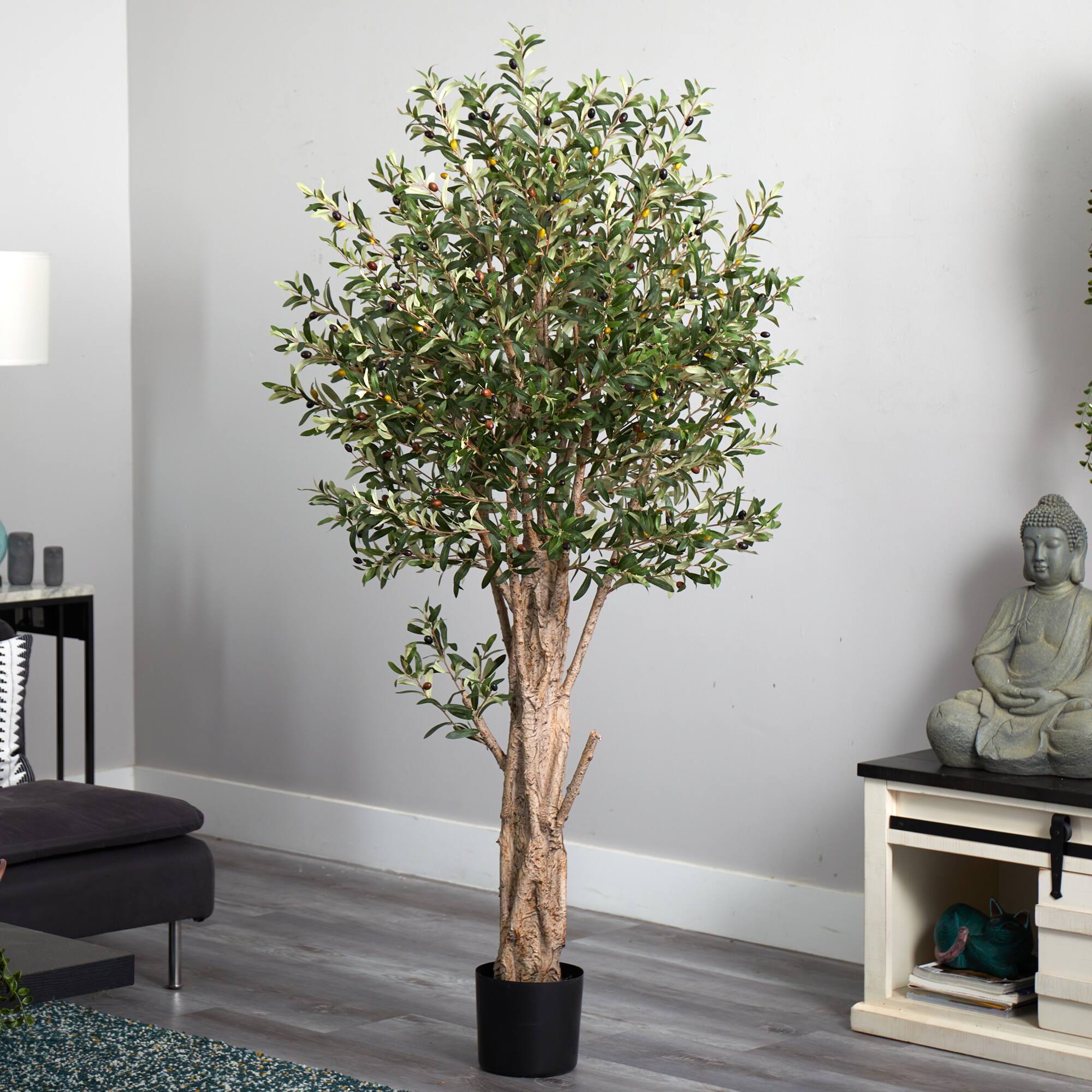 6ft. Potted Olive Tree